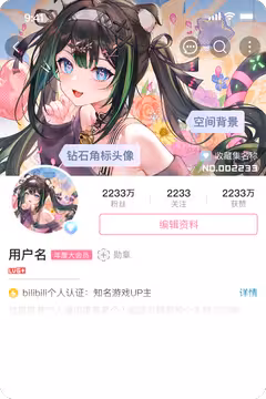 预览