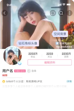 预览