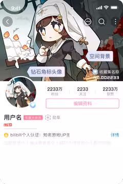 预览