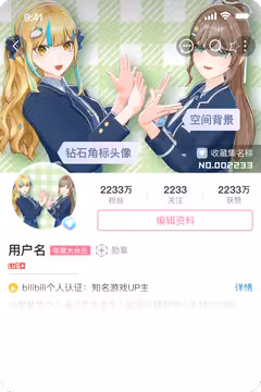 预览