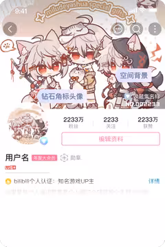预览