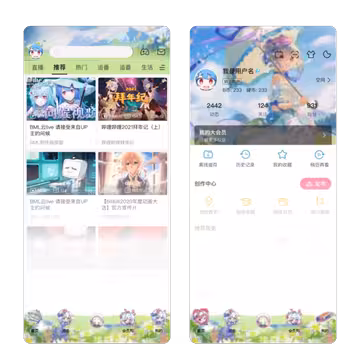 预览