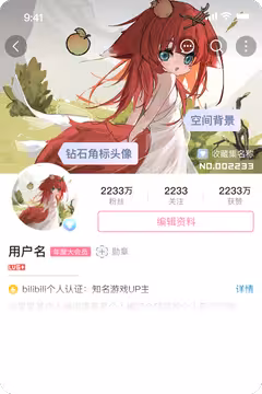 预览