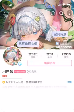 预览
