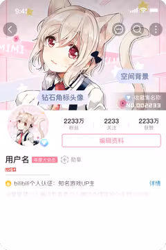 预览