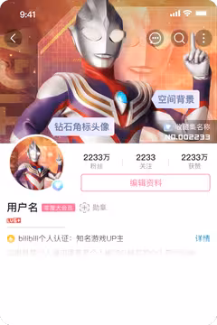 预览