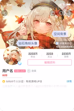 预览