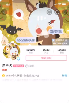 预览