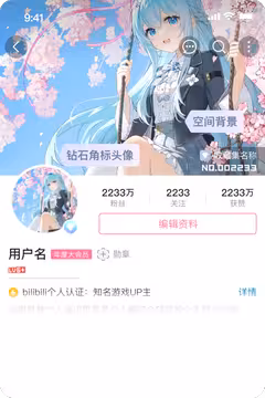 预览