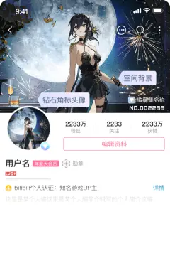 预览