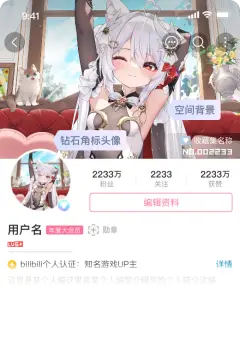 预览