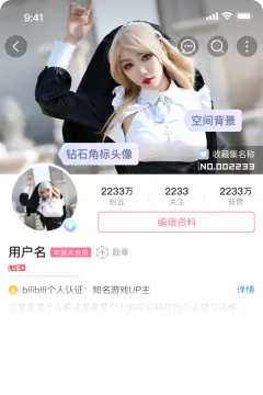 预览