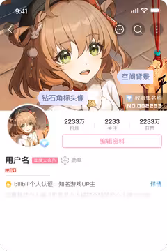 预览