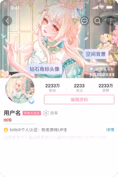 预览
