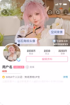 预览