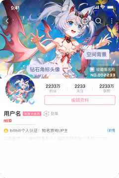 预览