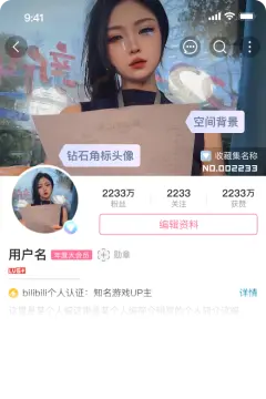 预览