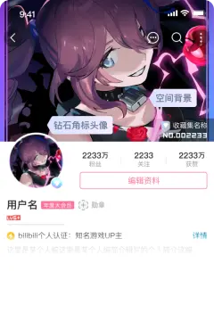 预览
