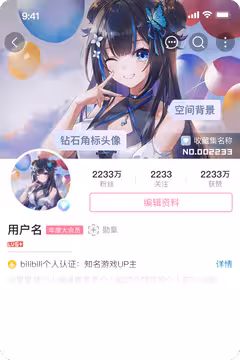 预览