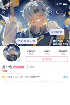 预览