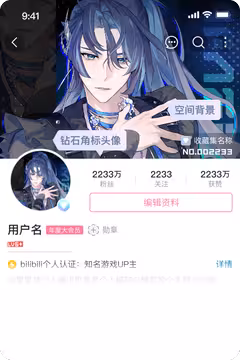 预览