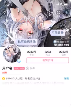预览