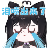 [UPOWER_3546778829850973_爆哭]