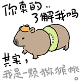 [水豚阿米go_猕猴桃]