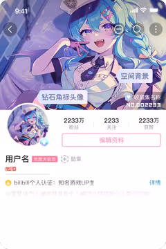 预览