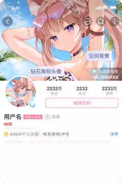 预览