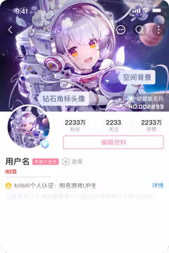 预览