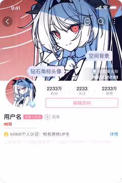 预览