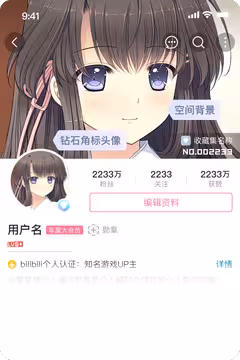 预览