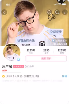 预览