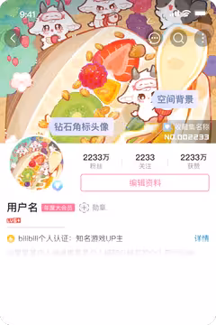 预览
