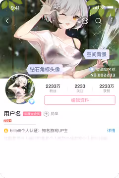 预览