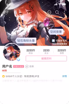 预览