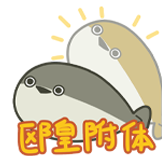 [欧皇甲鱼_欧皇]