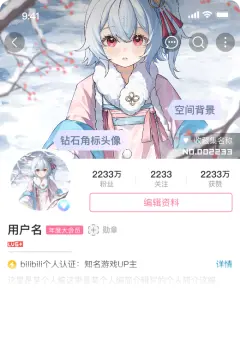 预览