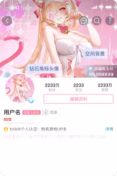 预览