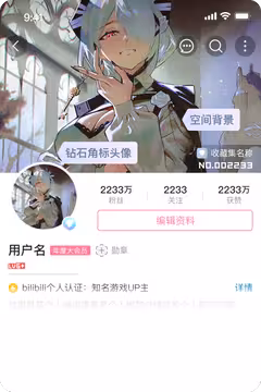 预览
