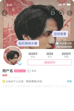 预览