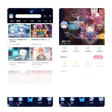 预览