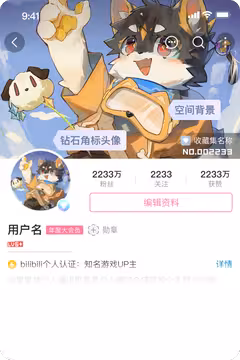 预览