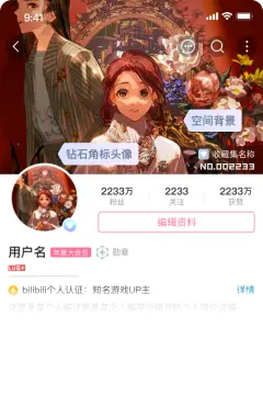 预览