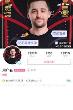 预览