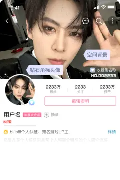 预览