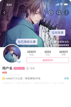 预览