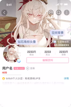 预览