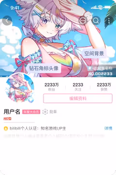 预览